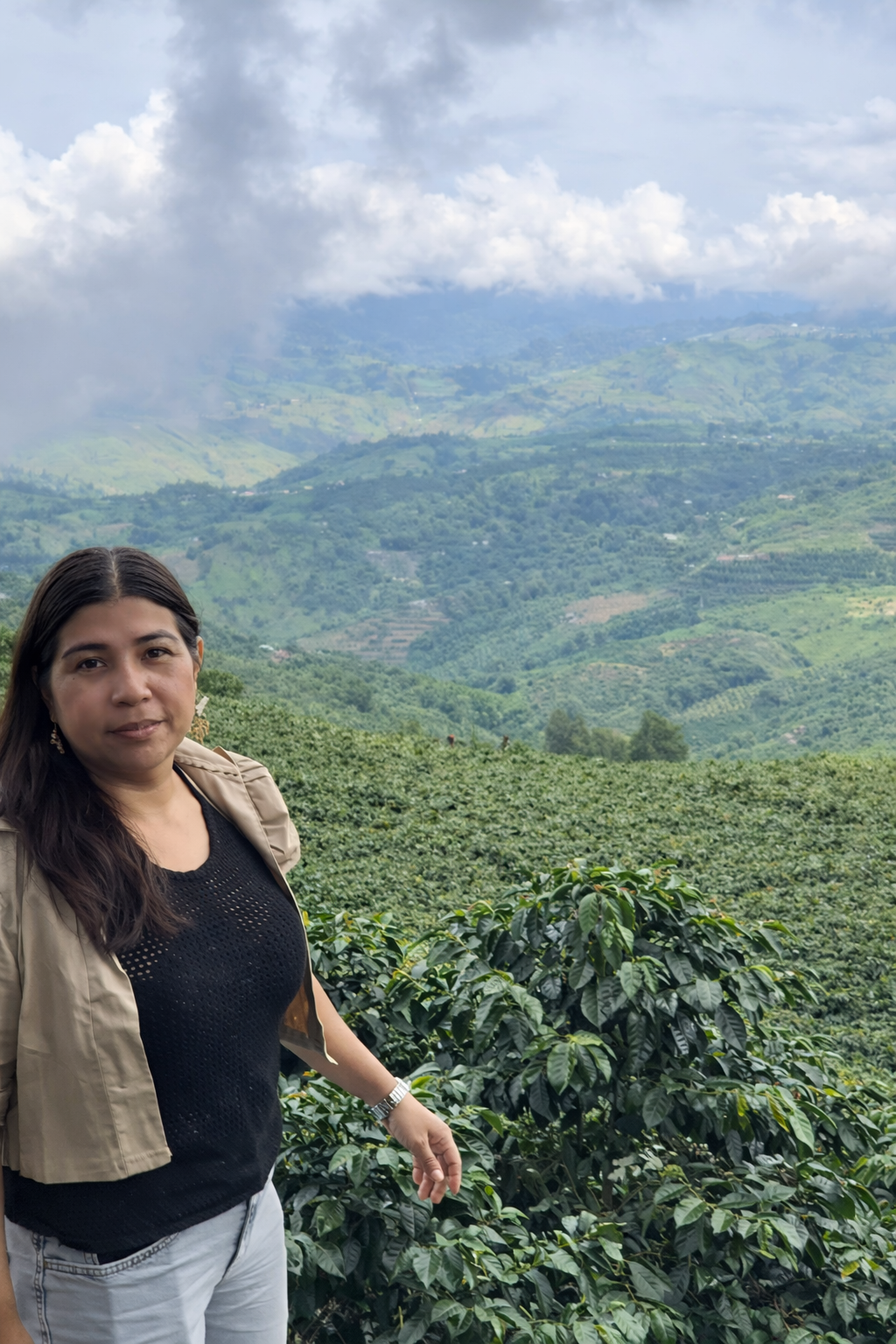 Vista del cafetal en la finca La Sociedad